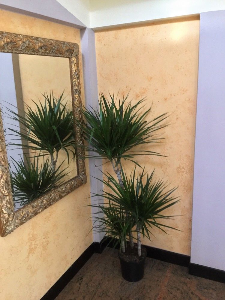 Hotel Marco Polo Self Check-In Bologna Eksteriør bilde